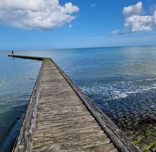 Daire Avec Jardin Et Acces